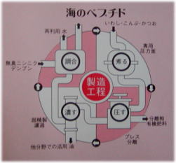 海のペプチドの製造工程、細かい膜を通して濾過する
