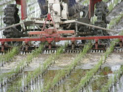 除草機や稲ワラの散布の機械を使用